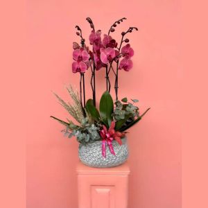  İstanbul Blumenlieferung - Die Orchideen